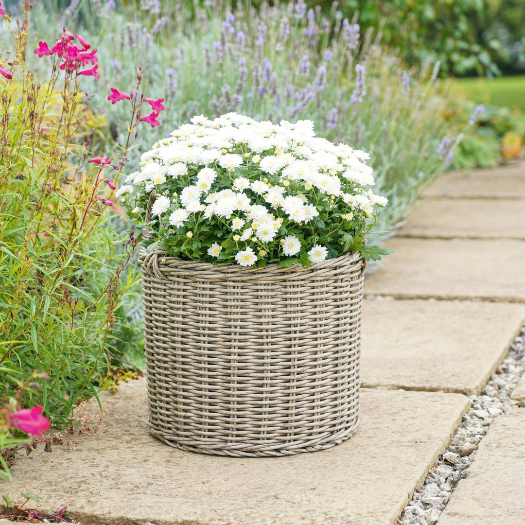 Polyrattan Set of Two Lined Planters