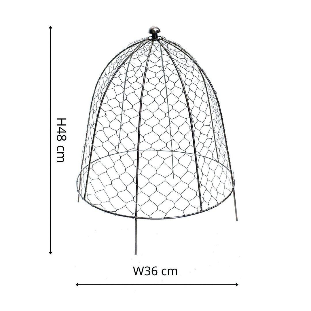 Outdoor Wire Netted Plant Protector