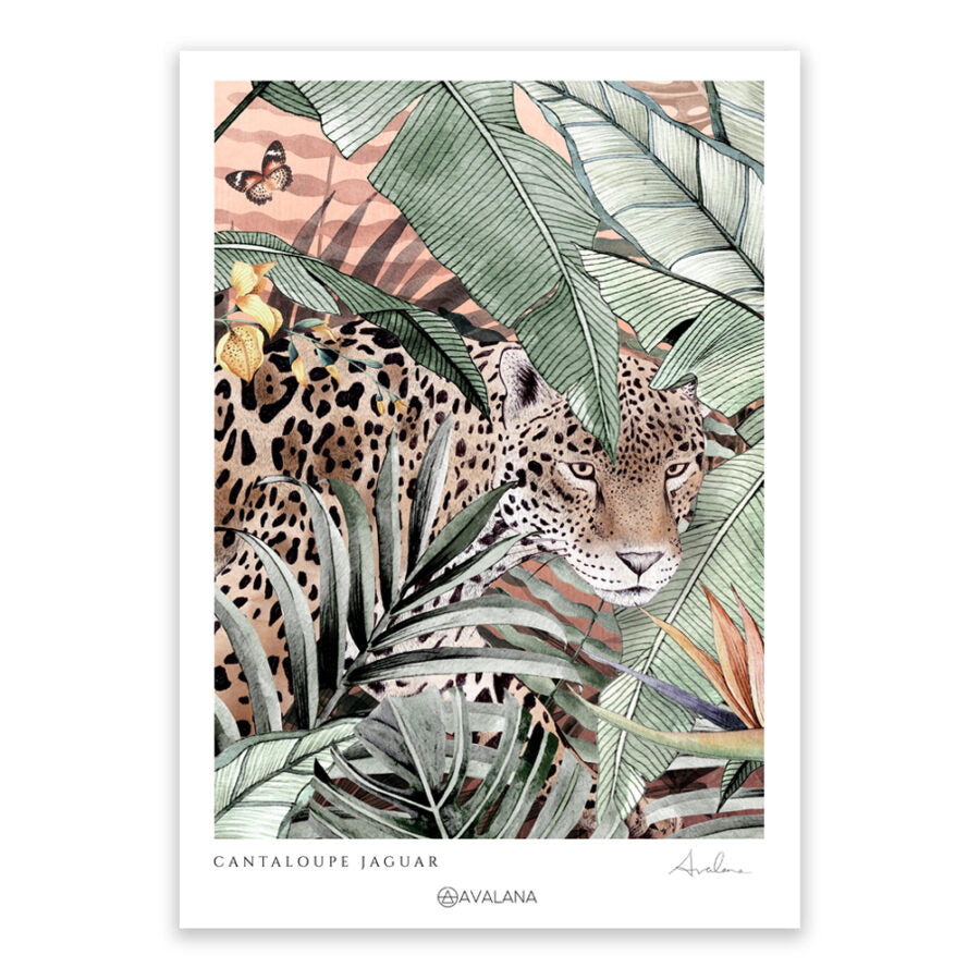 Cantaloupe Jaguar Art Print