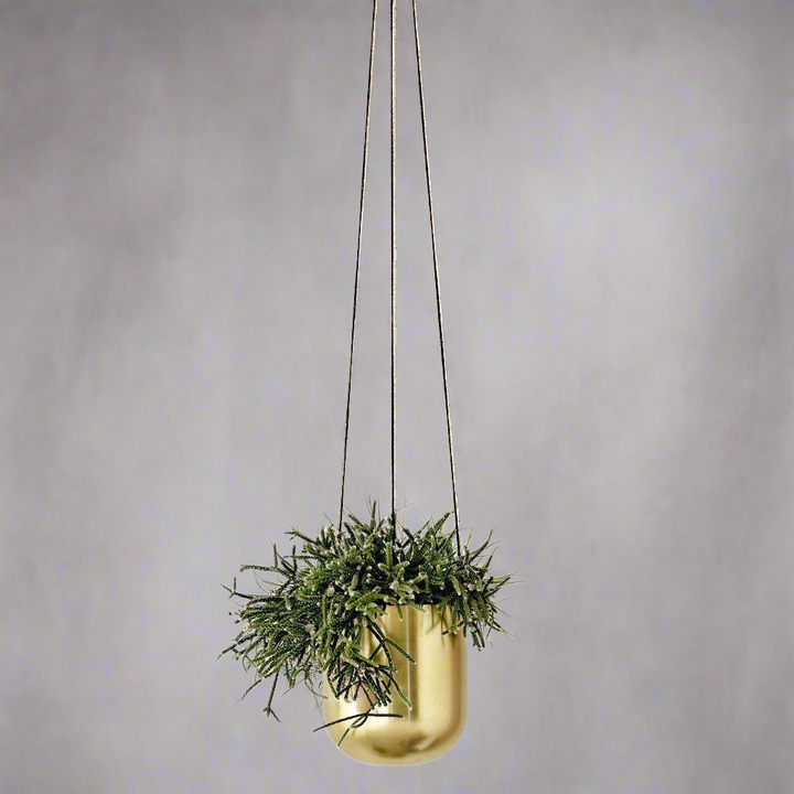 Inna Brass Hanging Flowerpot