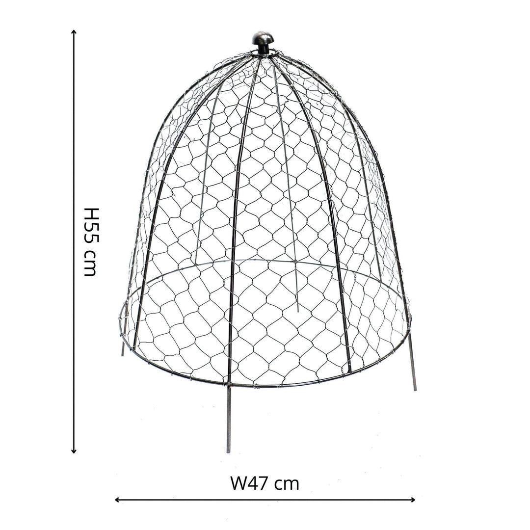 Outdoor Wire Netted Plant Protector