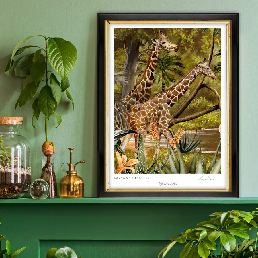 Savanna Giraffes Art Print