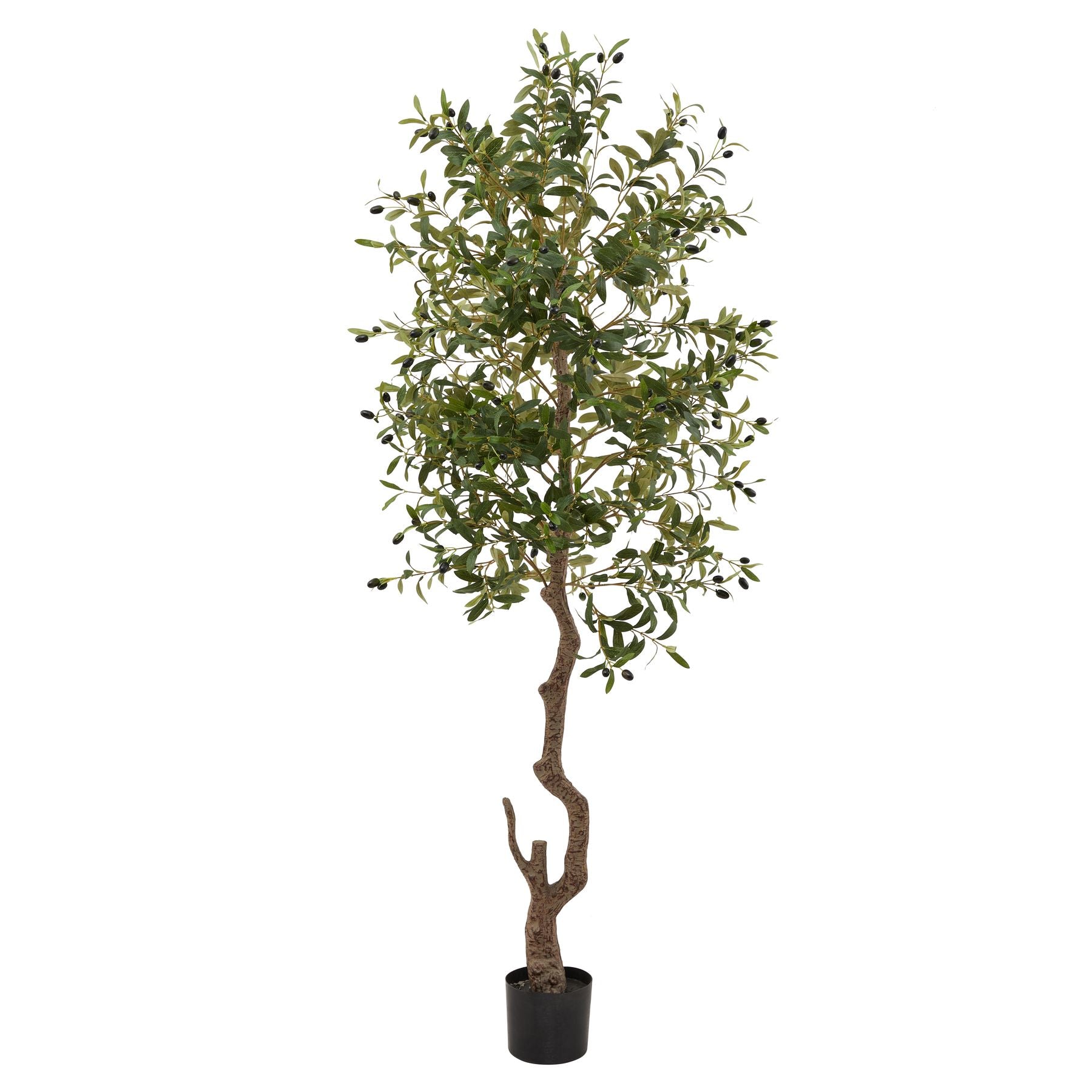 Hill Interiors Calabria Large Olive Tree