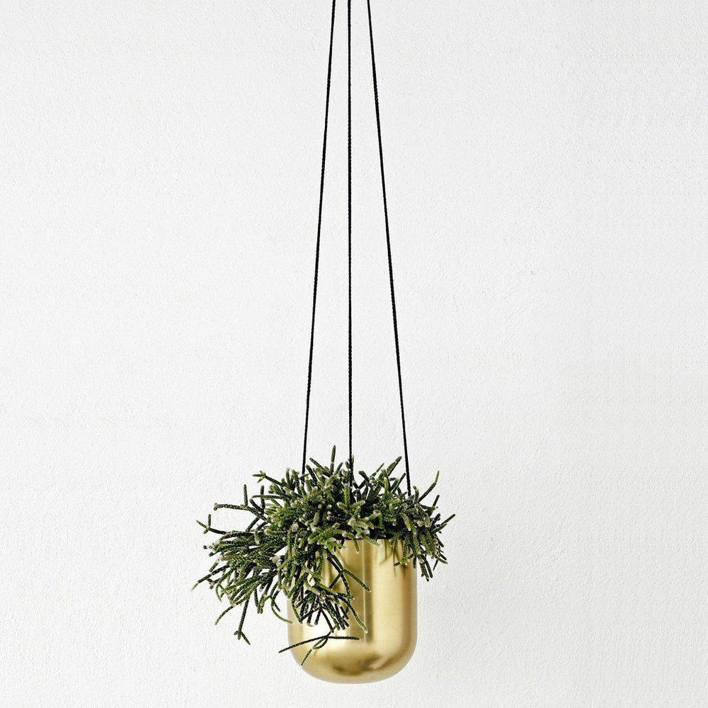 Inna Brass Hanging Flowerpot