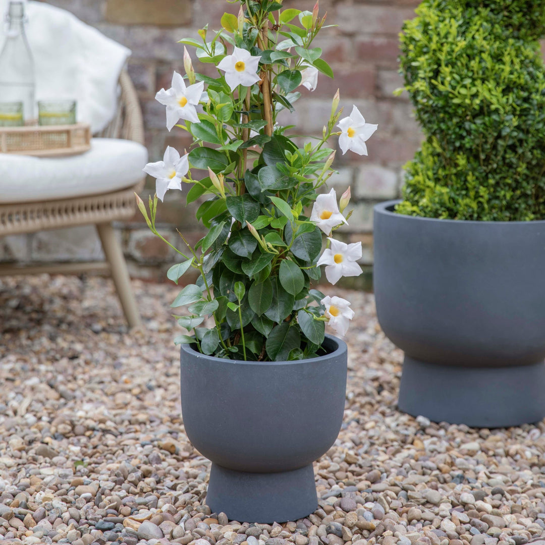 Outdoor Dallas Footed Planter Set of 3