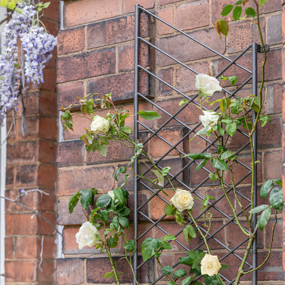 Ivyline Outdoor Linear Garden Wall Trellis