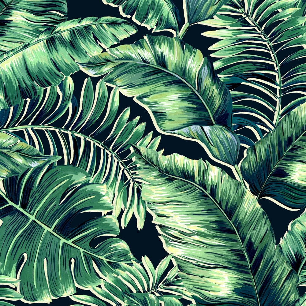 Banana Leaves Standard Leaf Green Wallpaper