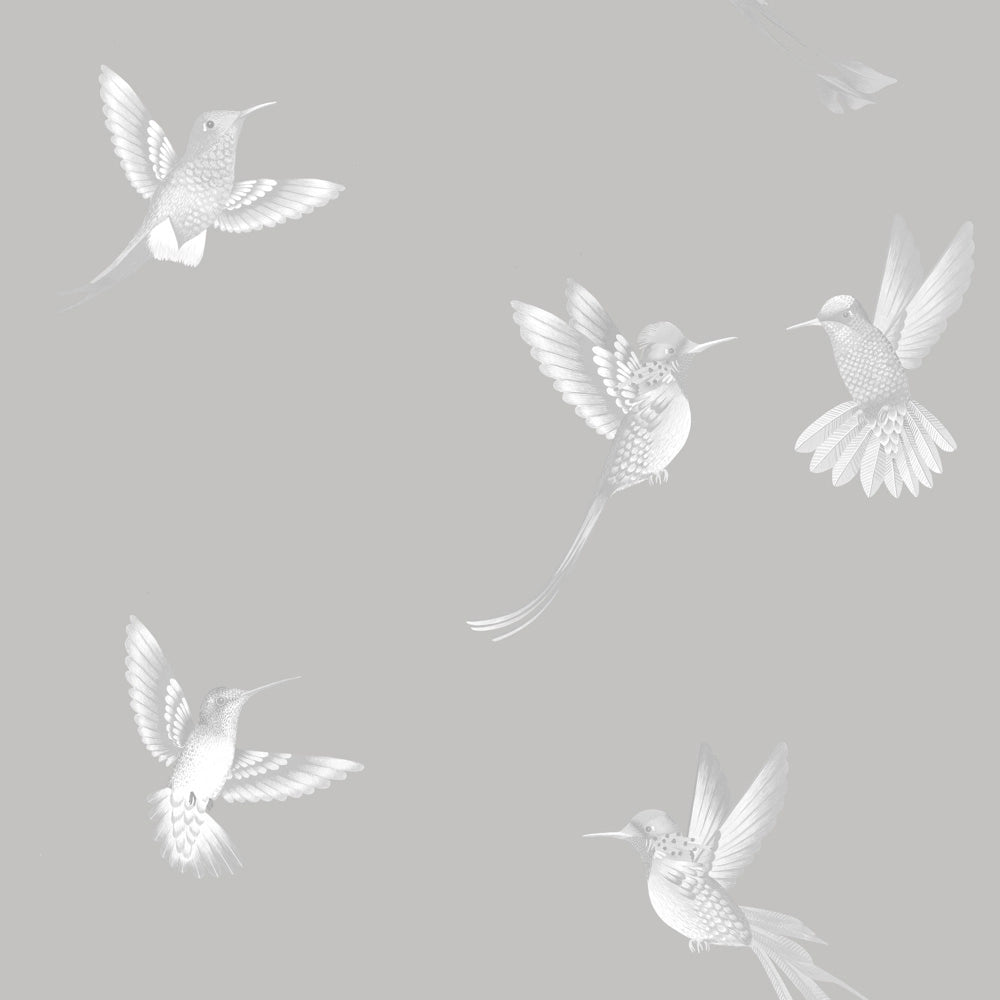 Exotic Birds Concrete Grey Wallpaper