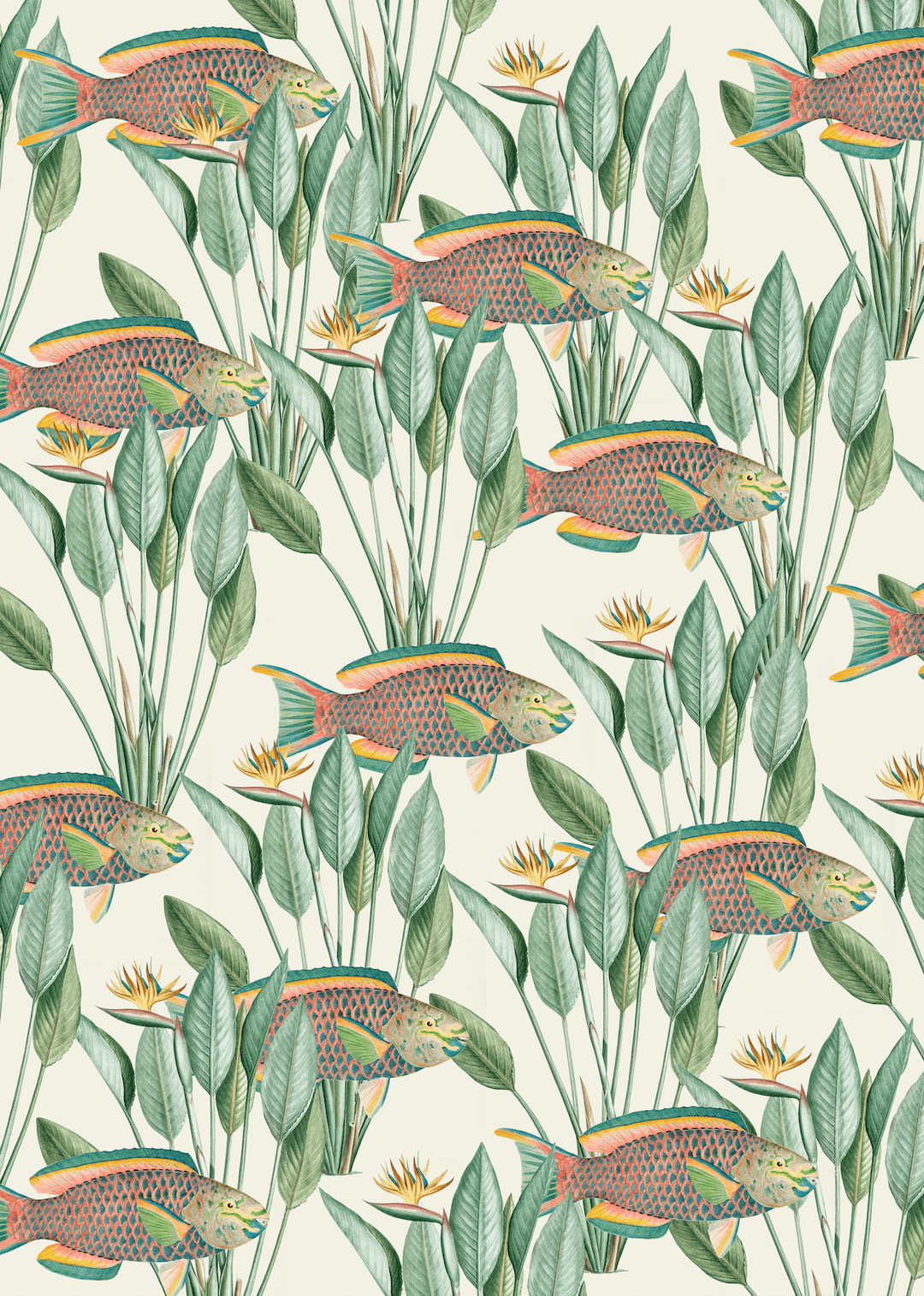 Parrot Fish Wallpaper Mural