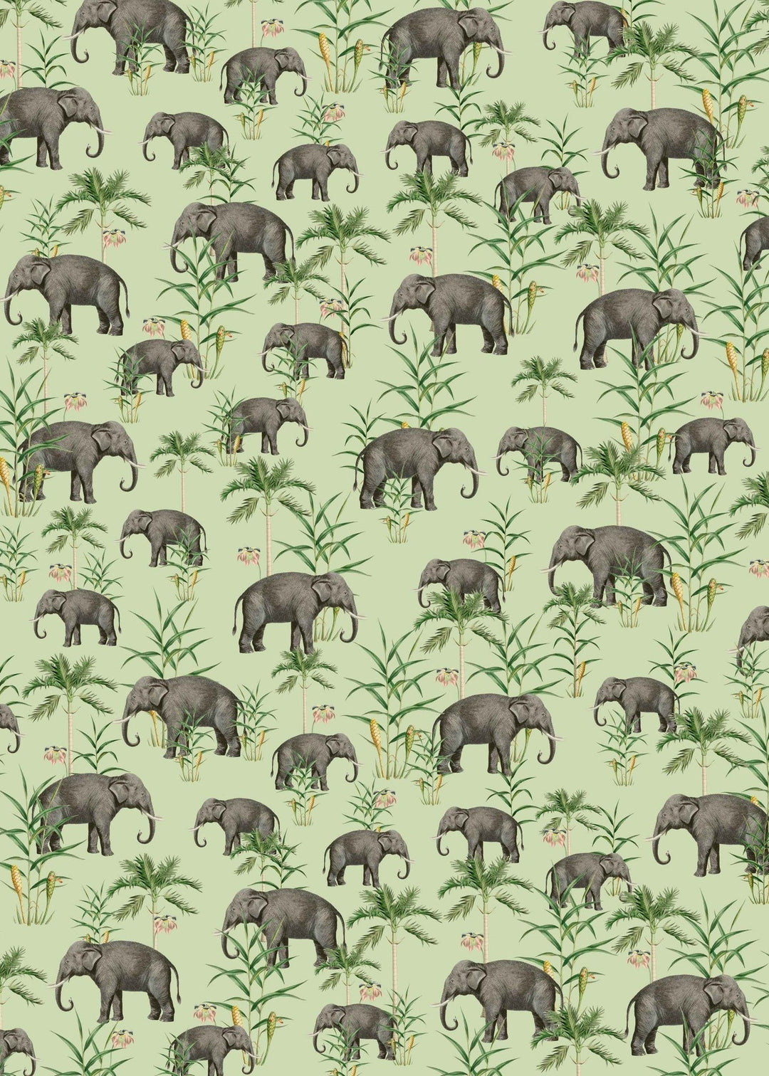 Oscar The Elephant Green Wallpaper Mural