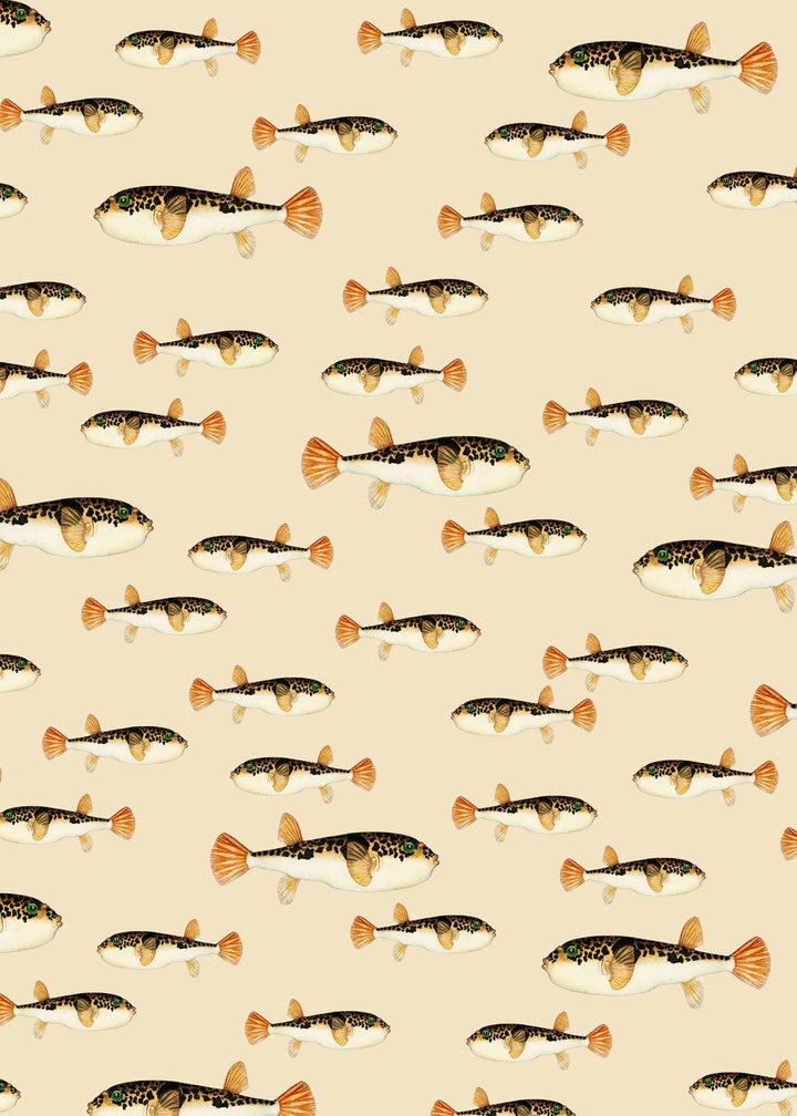 Follow My Fin Wallpaper Mural