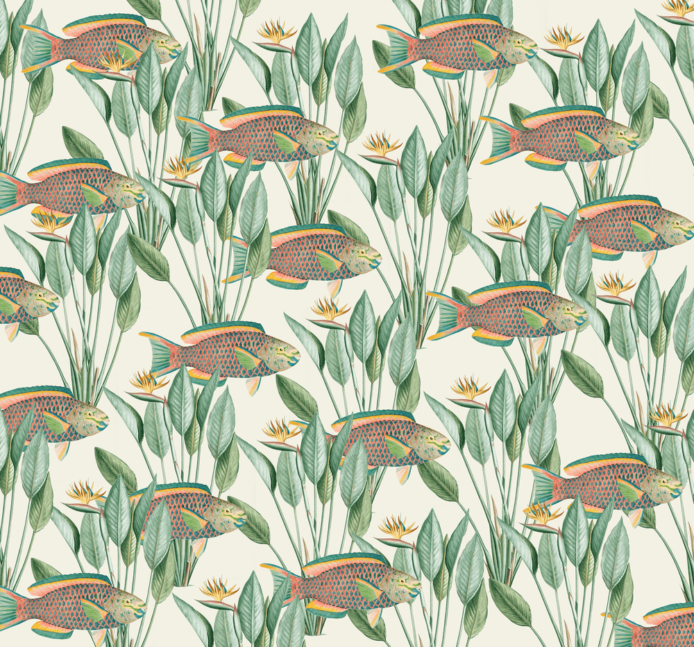 Parrot Fish Wallpaper Mural