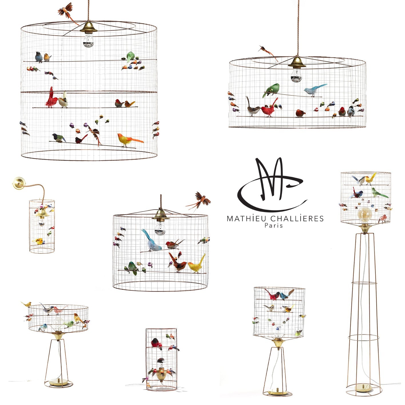 Mathieu Challieres 
La Voliere Birdcage Wall Lamp