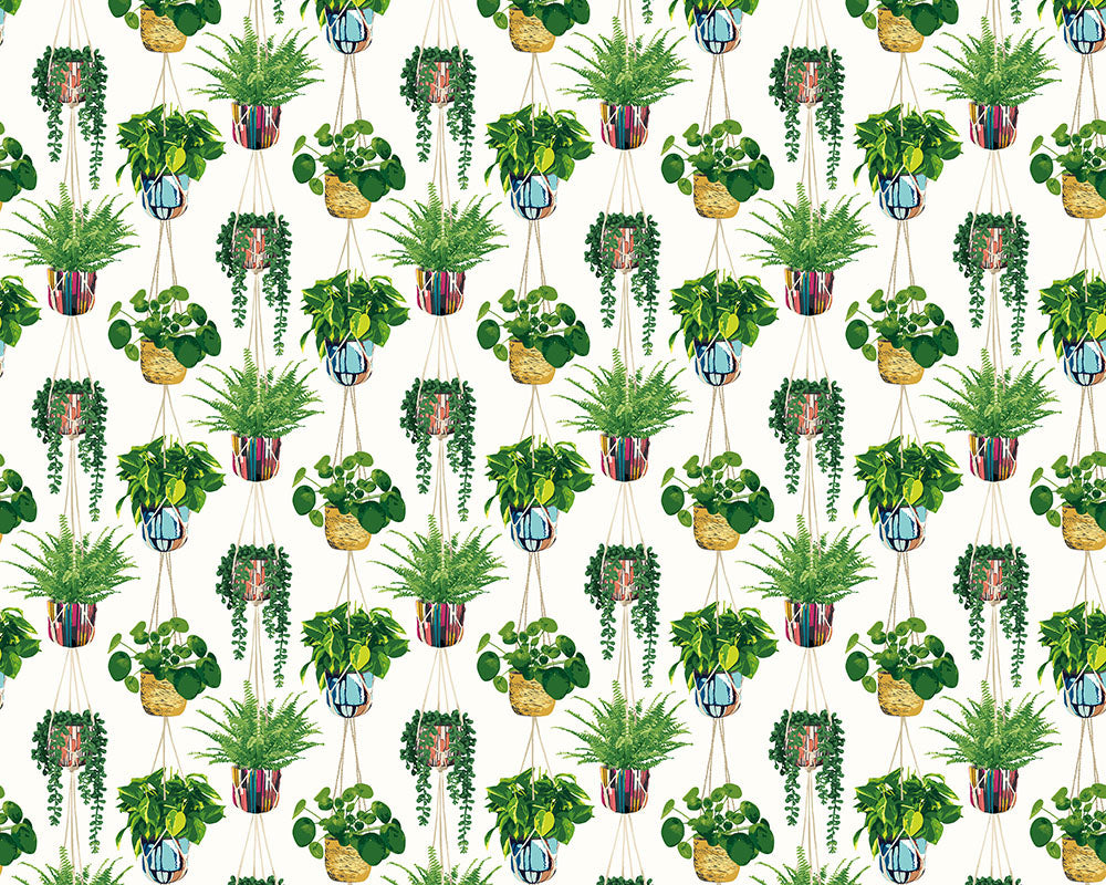 Ohpopsi Houseplant Wallpaper - Parakeet-Beaumonde
