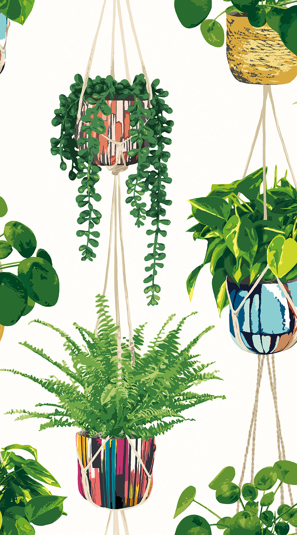 Ohpopsi Houseplant Wallpaper - Parakeet-Beaumonde