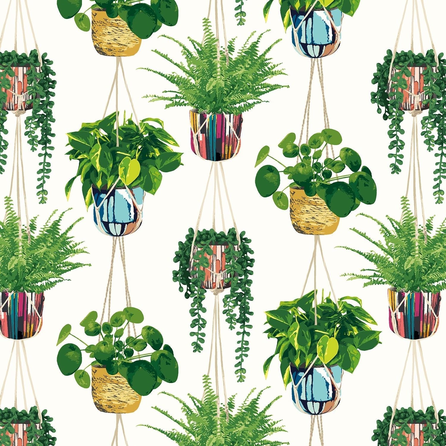 Ohpopsi Houseplant Wallpaper - Parakeet-Beaumonde