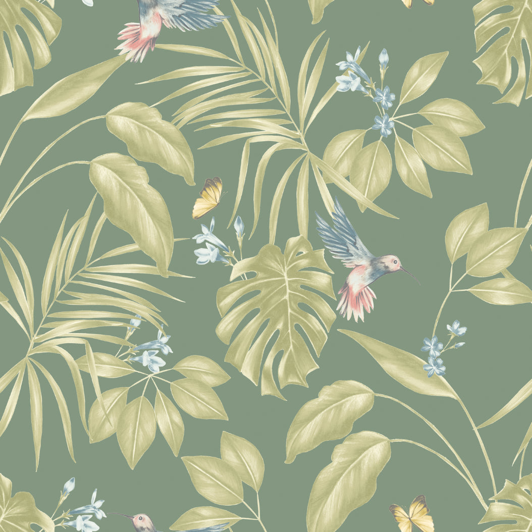 Ohpopsi Hummingbird Wallpaper - Forest-Beaumonde