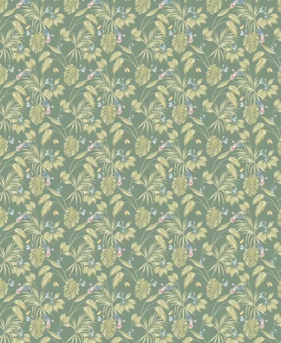 Ohpopsi Hummingbird Wallpaper - Forest-Beaumonde