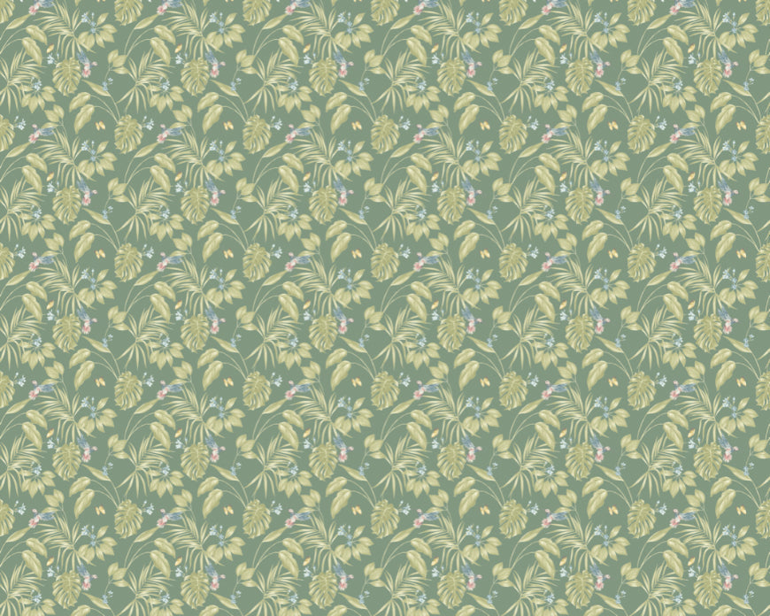 Ohpopsi Hummingbird Wallpaper - Forest-Beaumonde