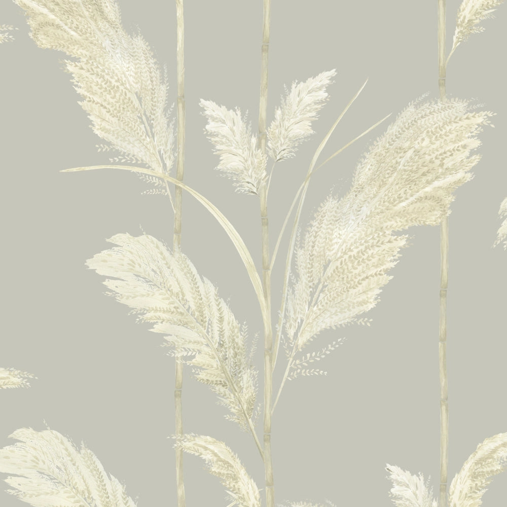 Pampas Grass Neutral Grey Wallpaper